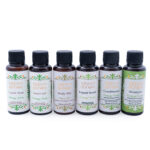 Sports & Travel Kit – 6 × 50 ml | Orange Verte - Image 2